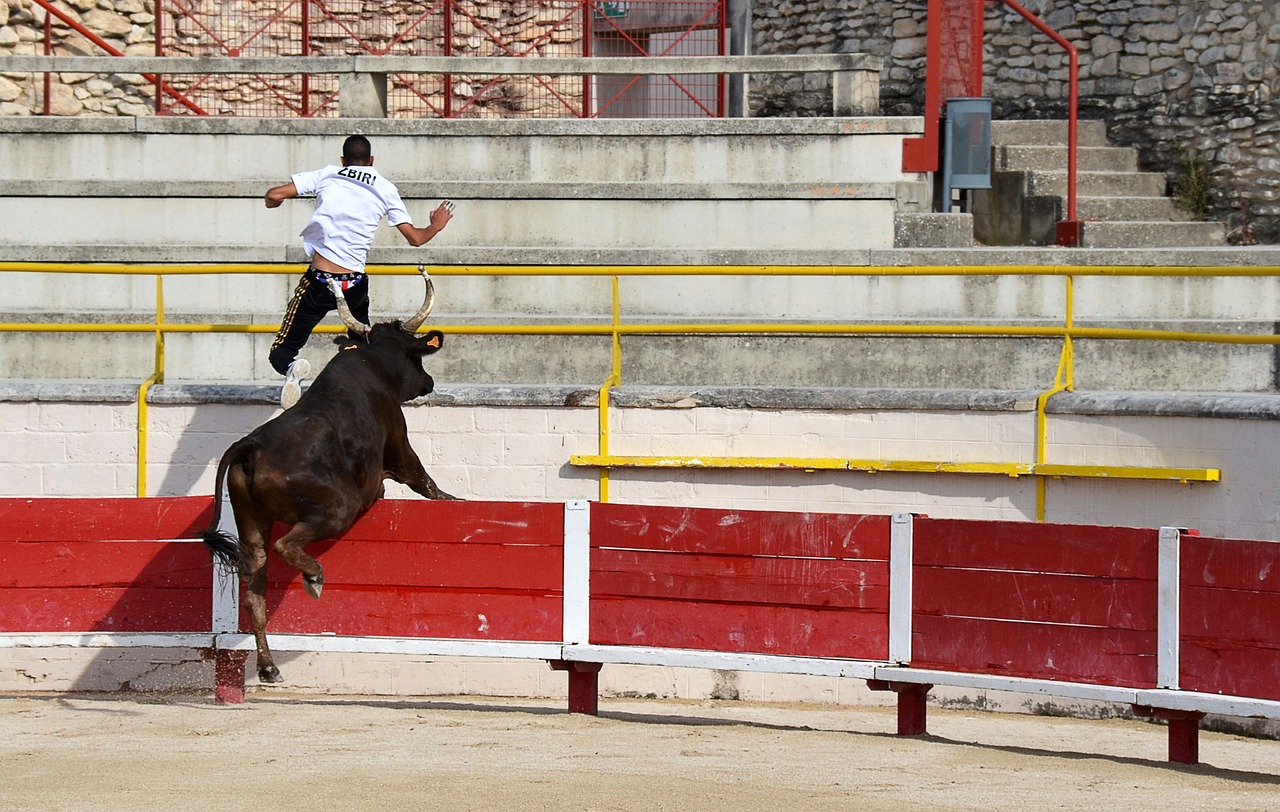 与尊重