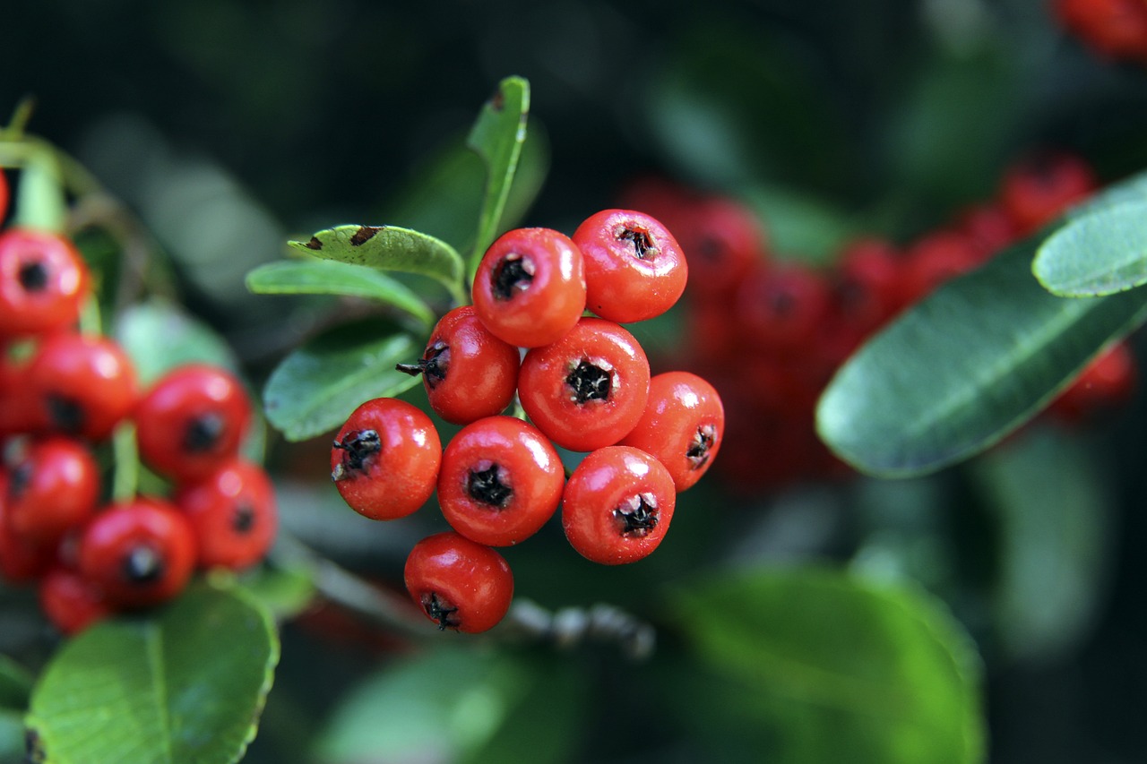 与伦比的默 与伦比的默