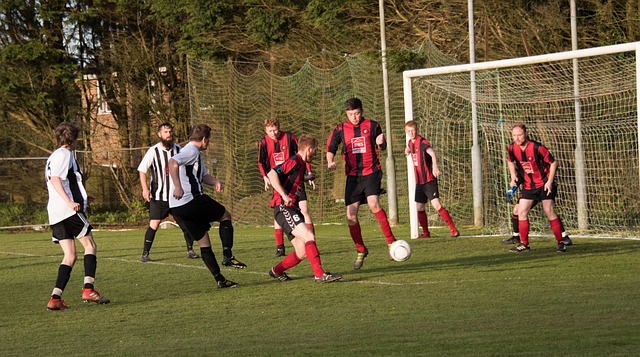 了不少经验 了不少经验